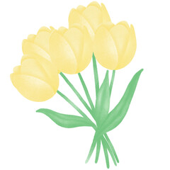 Wall Mural - Yellow Tulip