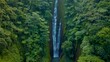 Dense jungle with huge waterfall, the lost world