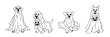Set of cute ghost dogs. Halloween pets. Cartoon spooky baby character. Vector illustration.