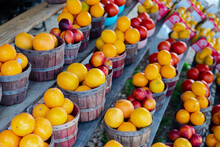 Wide Variety Of Homegrown Fruits On Wooden Basket And Shelves At Roadside Market Stand In Santa Rosa, Destin, Florid, Fresh Picked Peaches, Plums, Cherries, Oranges Summer Harvest Stall