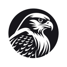 Falcon Logo Design Vector Symbol 