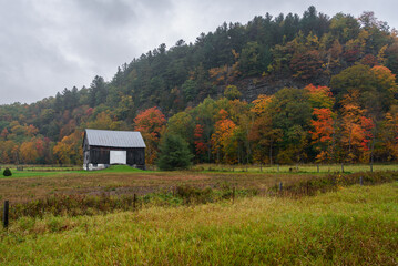 Wall Mural - Wooden barn at the foot of a forested hill on a rainy autumn day