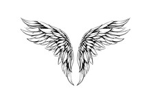 Angel Wings Ink Sketch In Engraving Style. Hand Drawn Fenders Vector Illustration.