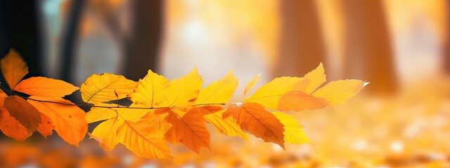 Wall Mural - A bunch of beautiful yellow and orange leaves in an autumn park on a bright sunny day. Natural colorful background