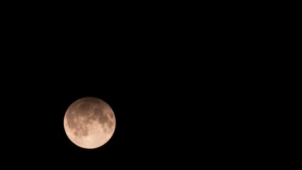 Wall Mural - Beautiful scene of rising moon in the black sky