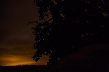 Wall Mural - Beautiful time lapse footage of moving night vista clouds over park and silhouette trees at night