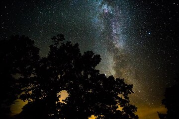 Wall Mural - silhouette time lapse scene of moving night golden clouds over park and trees at night