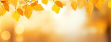 Beautiful Blurred Gentle Universal Natural Light Autumn Background With Yellow Leaves And Blurred Bokeh