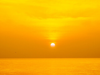 Wall Mural - Sun is rising over horizon line with sea view and colorful sky, seagull fly for foreground