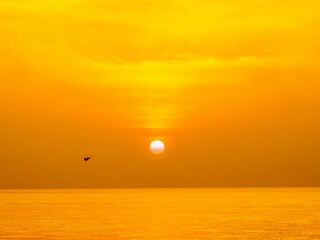 Wall Mural - Sun is rising over horizon line with sea view and colorful sky, seagull fly for foreground