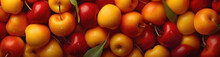 Rainier Cherry, Best Website Background, Hd Background, Background For Computers Wallpaper