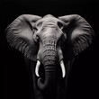 portrait of an elephant on black background. ai generated 