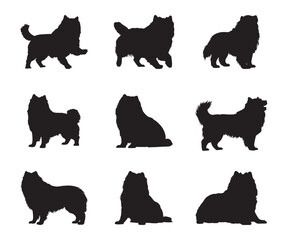 Wall Mural - Chow Chow silhouette set - isolated vector images of animals