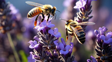 Honey Bees Dancing In A Lavender Field. Generative AI