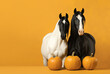 Portrait of two horses with pumpkins on yellow background