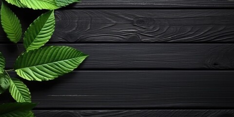 Wall Mural - Flat lay photo black wooden and green leaf around it, copy space background. Generative AI image weber.