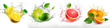 Set Of Citric Fruits With Splash Of Water On White Background. Lemon, Lime, Grapefruit And Orange