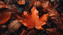 The Forest Floor Covered With Orange And Red Leaves, Providing A Macro View. Generative AI