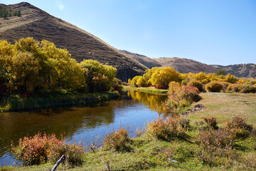 Wall Mural - Autumn landscape. Yellow trees and bushes on the bank of a picturesque river.