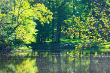 Wonderful Late Spring Or Early Summer Landscape With Beautiful Green Leaves Of Various Trees Illuminated By The Sun And Reflected In The Water