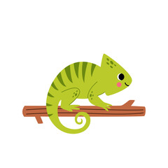 Vector picture of cute green chameleon isolated on white background.