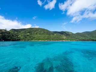 Poster - 奄美大島の海