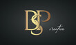 luxury letters BSP golden logo icon premium monogram, creative royal logo design	