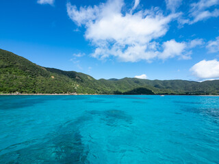 Poster - 奄美大島の海