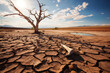 Drought land with isolated died tree, dry soil ground in desert area with cracked mud in arid landscape. Water scarcity, climate change and global warming.
