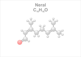 Wall Mural - Neral. Simplified scheme of the molecule. 