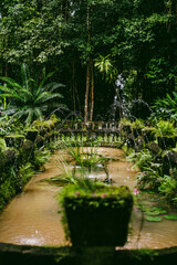 Wall Mural - Water fountain in a rainforest park