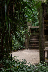 Wall Mural - Moss covered stairway in the rainforest