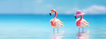Travel And Resort Banner With Funny Pink Flamingos Standing In Clear Blue Sea With Clear Sunny Sky. Concept Of Summer Vacation, Traveling And Resting On Sea Resort. Banner Size,  Copy Space