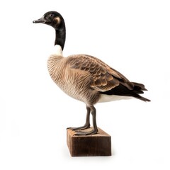 Sticker - Canada goose bird isolated on white. Generative AI