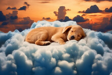 A Heart Melting Sight Of A Cute Little Puppy Peacefully Sleeping On A Fluffy Cloud, Bringing Joy And Tranquility To The Heart. Ai Generated