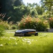 Sunny scene featuring a robotic lawn mower in action.