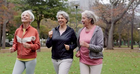 senior women, walking and friends with fitness, wellness and workout for health in retirement. park,