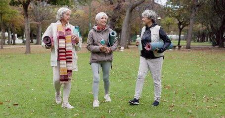 Poster - Senior friends, walking and talking with yoga mats in the park to relax in nature with elderly women in retirement. People, happy conversation and healthy outdoor exercise or pilates in winter