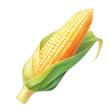 A Corn Cob