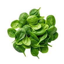 Fresh Baby Spinach On White Backround, From Above, Flat Lay.