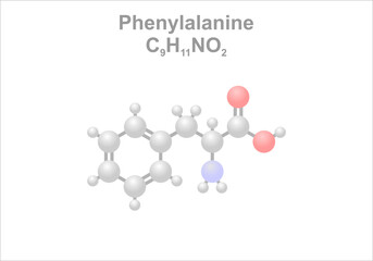 Wall Mural - Phenylalanine. Simplified scheme of the molecule. Naturally found in milk of mammals.