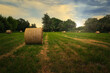Heuballen - Heu - Stroh - bales of hay - field - harvest - summer - straw - farmland - blue cloudy sky - golden - beautiful - freshly - countryside - haystacks - harvesting - background