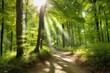 Grüner Wald im Sommer mit Sonnenstrahlen, Generative AI