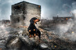 © Kate - artistic photo of a dachshund dog standing on the ruins of a destroyed house