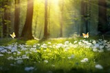 Fototapeta Natura - Forest glade with lots of white spring flowers and butterflies on a sunny day, Generative AI