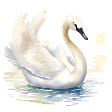 Swan In Cartoon Style. Cute Little Cartoon Swan Isolated On White Background. Watercolor Drawing, Hand-drawn Swan In Watercolor. For Children's Books, For Cards, Children's Illustration