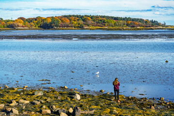 the view of the coastline during the fall in Cape Porpoise, Maine