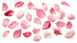 Beautiful flower petals transparent background. Flower petals png