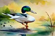 watercolor painting of a duck in the water