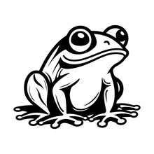 Frog Vector Illustration